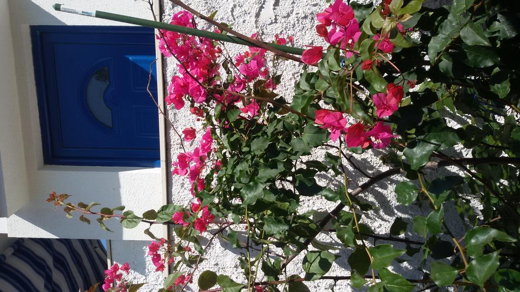 Apartment L.A. Tivat Bagian luar foto